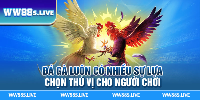 Đá gà luôn có nhiều sự lựa chọn thú vị cho người chơi.